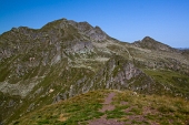 Passeggiata sulle creste di Mezzeno il 21 agosto 2011 - FOTOGALLERY